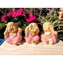 Trio de Mini Budas - Sabedoria