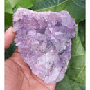 Ametista Natural Drusa 10cm