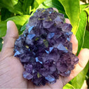 Ametista Natural Drusa 10cm