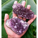 Ametista Natural Drusa 10cm