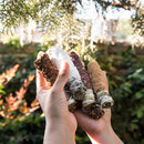 Incenso Natural para Limpeza Energética - Sagrada Madre